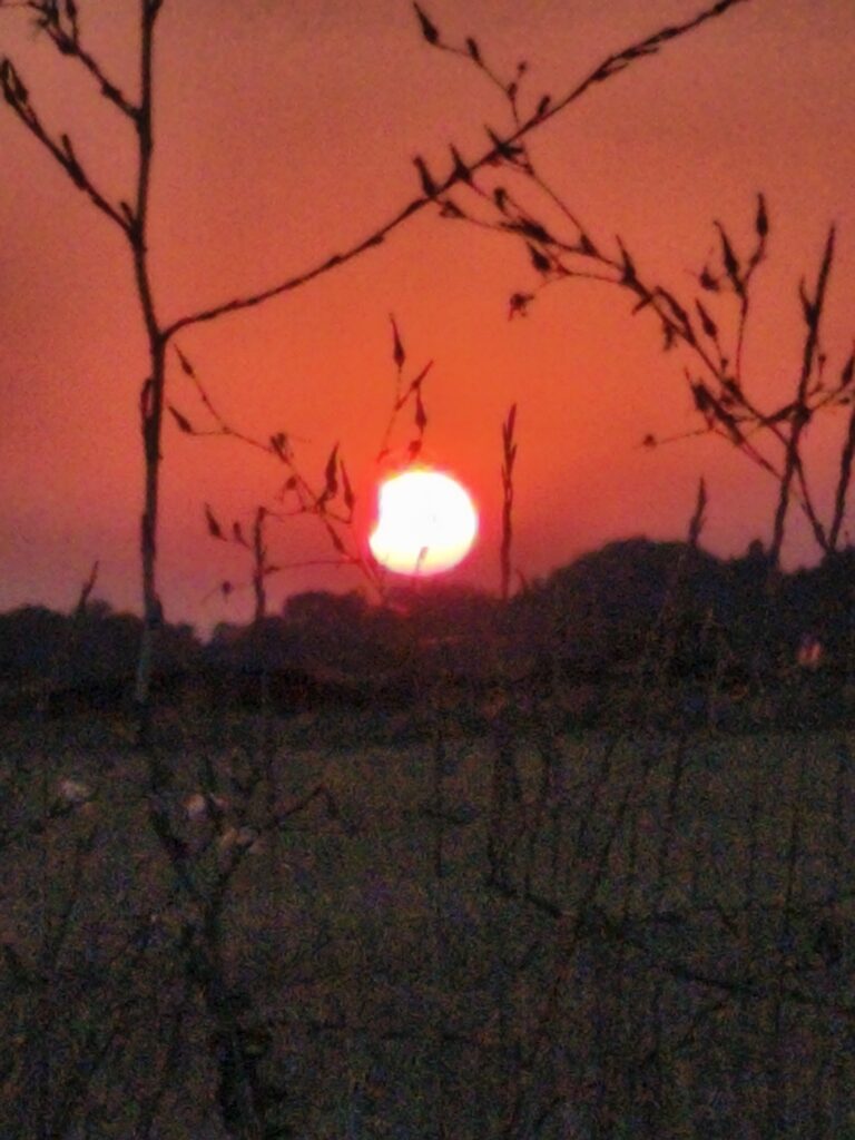 Photos de l'éclipse du 12 août 2026 à Carrion de los Condes, Espagne, avec smartphone xaomi red mi note 14 pro 5g ... Par Sylvie RODRIGUES (Brassac) 13