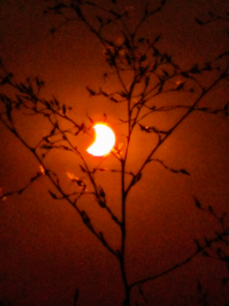 Photos de l'éclipse du 12 août 2026 à Carrion de los Condes, Espagne, avec smartphone xaomi red mi note 14 pro 5g ... Par Sylvie RODRIGUES (Brassac) 12